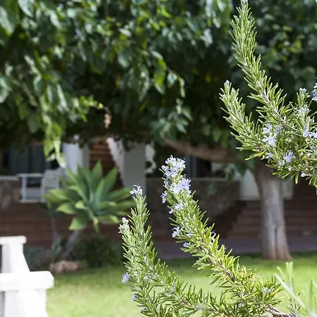 Els Romers Benicarló-peñíscola Apartamento Peñíscola